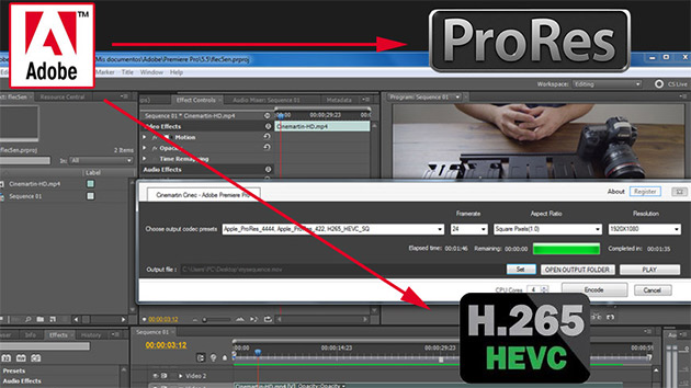 hevc codec for premiere pro